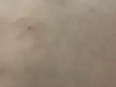 pleasedontpressaredburton online show from 02-28-26, 03:29