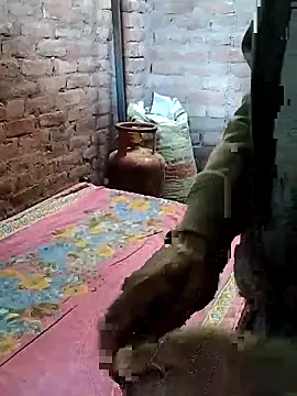 Snapshot of Rani_089 chatting on 11-13-25, 03:49 Rani 089 online show from 11-13-25, 03:49