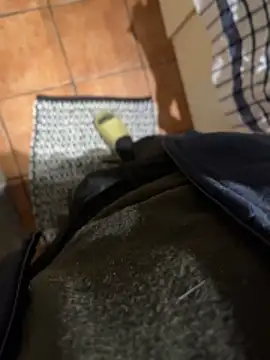 4dagals online show from 04-01-26, 05:41