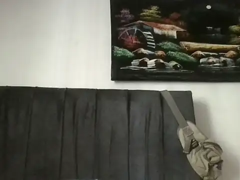 Snapshot of cerdo14562 chatting on 11-28-25, 04:20 cerdo14562 online show from 11-28-25, 04:20