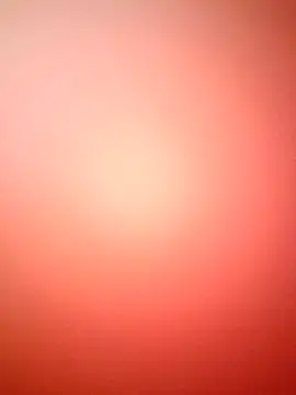 marcojans online show from 12-02-25, 03:51