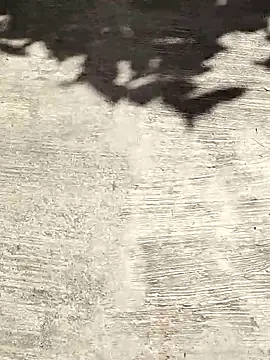 deepti 07 online show from 10-06-25, 09:40