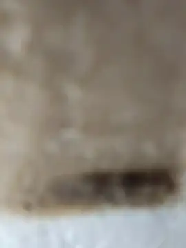 Snapshot of Cr_sonam chatting on 11-24-25, 11:26 Cr sonam online show from 11-24-25, 11:26