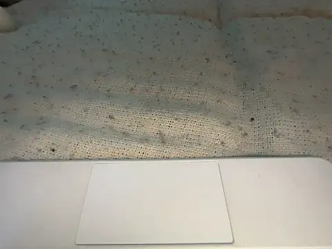 Snapshot of goddesemiiyy chatting on 11-18-25, 06:34 goddesemiiyy online show from 11-18-25, 06:34