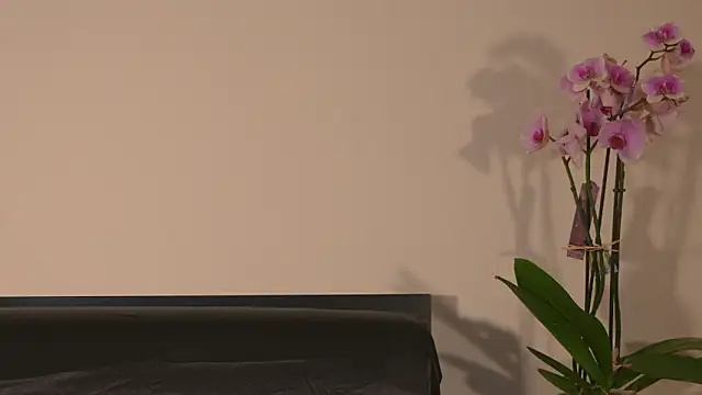 AbrilColls  online show from 03-15-26, 12:16