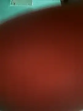 sweetjuicypeach123 online show from 10-13-25, 06:19