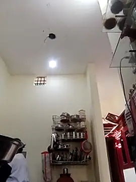 Honey-26 online show from 11-26-25, 07:31