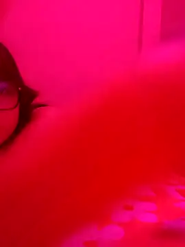 xcodigorojo online show from 11-20-25, 06:57