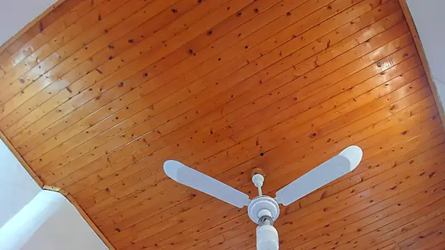 Snapshot of denisse_khan chatting on 10-17-25, 11:46 denisse khan online show from 10-17-25, 11:46