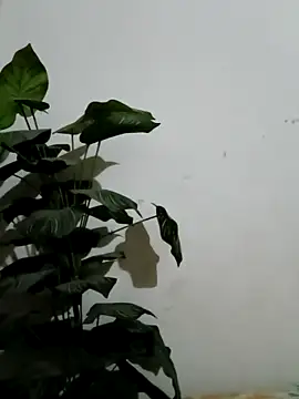 Jessica-03 online show from 03-04-26, 04:57