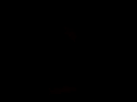 YoussefAl-Fahl online show from 10-15-25, 10:21