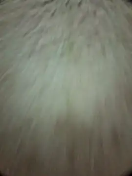 torresflow99nais online show from 11-25-25, 11:32