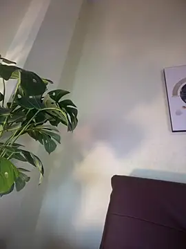 NovaFoxx online show from 02-15-26, 01:52