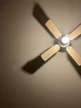 Snapshot of CarmeloA chatting on 11-19-25, 05:02 CarmeloA online show from 11-19-25, 05:02