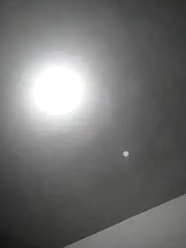 Snapshot of checheludo23 chatting on 02-25-26, 12:20 checheludo23 online show from 02-25-26, 12:20