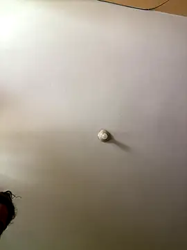 Snapshot of Techi0525 chatting on 12-16-25, 05:18 Techi0525 online show from 12-16-25, 05:18