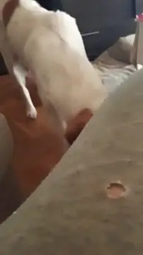 Snapshot of goloso80 chatting on 10-22-25, 01:11 goloso80 online show from 10-22-25, 01:11