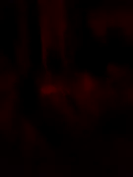 goloso80 online show from 05-22-26, 02:51