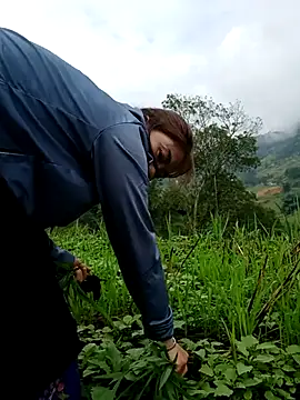 omai-ngot online show from 10-26-25, 01:22