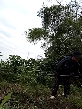 Chmdiemd online show from 11-21-25, 12:43