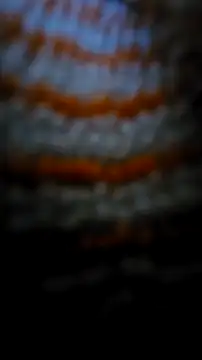 Sexecochon online show from 12-22-25, 02:03