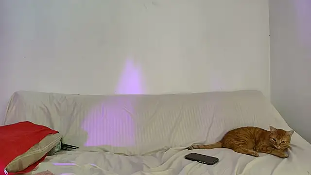Nikki  uwu online show from 06-02-26, 08:00