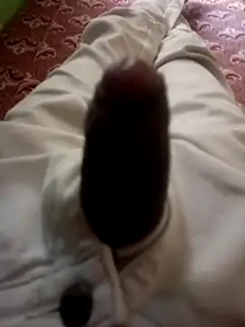 kumarstelugu online show from 12-19-25, 06:31