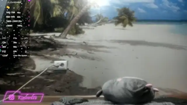 kimberd33 online show from 02-26-26, 03:11