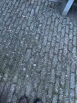 bart98geil online show from 02-14-26, 06:54