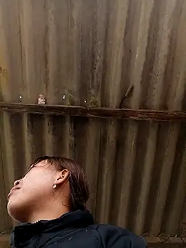 sowbibi online show from 02-08-26, 05:11