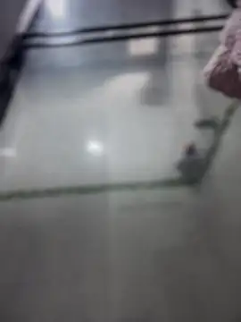 Violeet-Smith online show from 03-27-26, 02:50