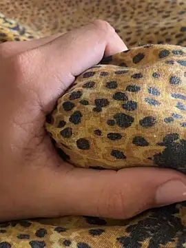 StrandedTrident online show from 04-18-26, 10:19