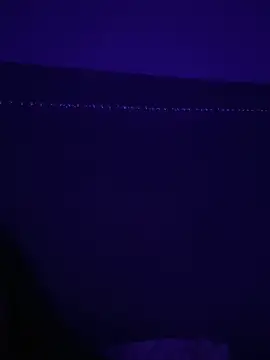 Snapshot of Gia_Atkinson chatting on 10-24-25, 11:45 Gia Atkinson online show from 10-24-25, 11:45