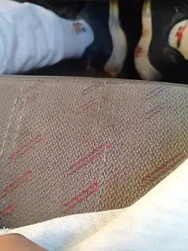 666Daemon666 online show from 01-17-26, 11:19