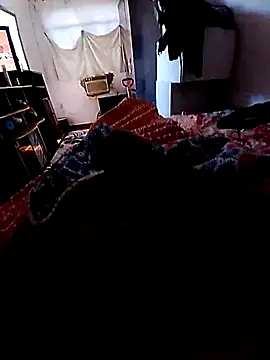 pequenohomem online show from 06-23-26, 01:31