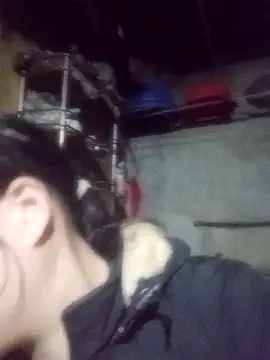 Noelle-e online show from 02-03-26, 11:15