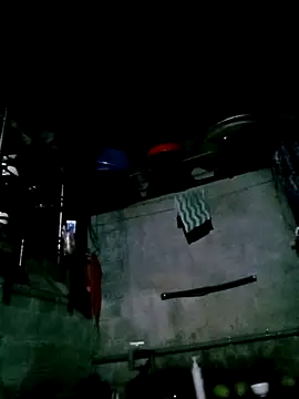 Noelle-e online show from 02-04-26, 11:38