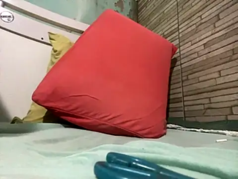  DignoDePutaria  online show from 10-30-25, 04:03