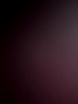 WildNour online show from 11-18-25, 06:51