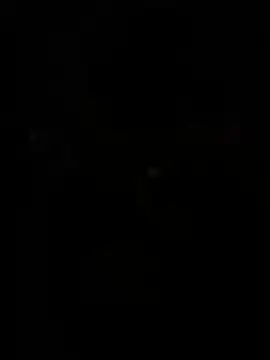 WildNour online show from 04-13-26, 11:05