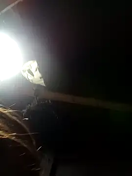 bella-la online show from 02-09-26, 11:14