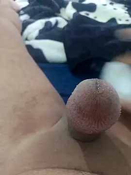 Snapshot of Ayoub_ben27 chatting on 11-08-25, 03:45 Ayoub ben27 online show from 11-08-25, 03:45