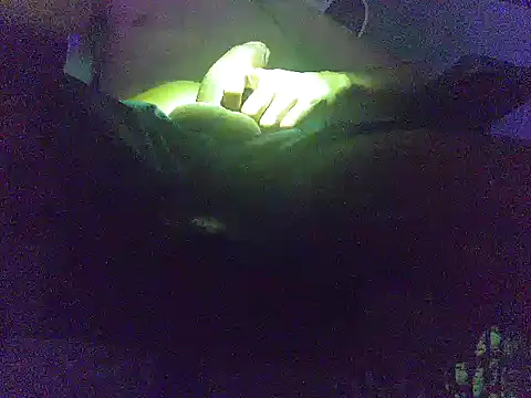 analice32456 online show from 03-03-26, 06:52