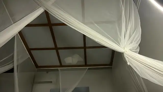 Bae Belle online show from 12-21-25, 02:19