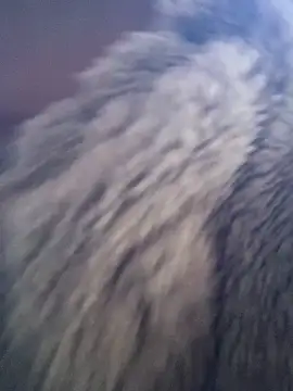 Snapshot of huttonmay358 chatting on 11-24-25, 02:33 huttonmay358 online show from 11-24-25, 02:33