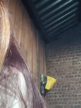 Snapshot of HGiasexy69 chatting on 11-02-25, 10:23 HGiasexy69 online show from 11-02-25, 10:23