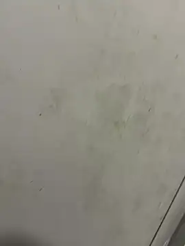 Isamperry69 online show from 10-31-25, 04:02