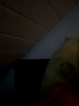 superbertok online show from 11-20-25, 08:30