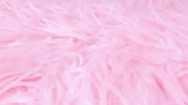 scarlett leblanc  online show from 03-24-26, 11:59