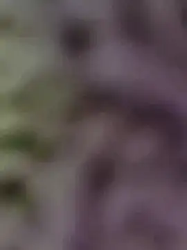 Snapshot of Hot-Sana2 chatting on 01-13-26, 01:49 Hot-Sana2 online show from 01-13-26, 01:49